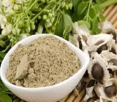 Manufacturer of  Moringa Oleifera  Powder from India