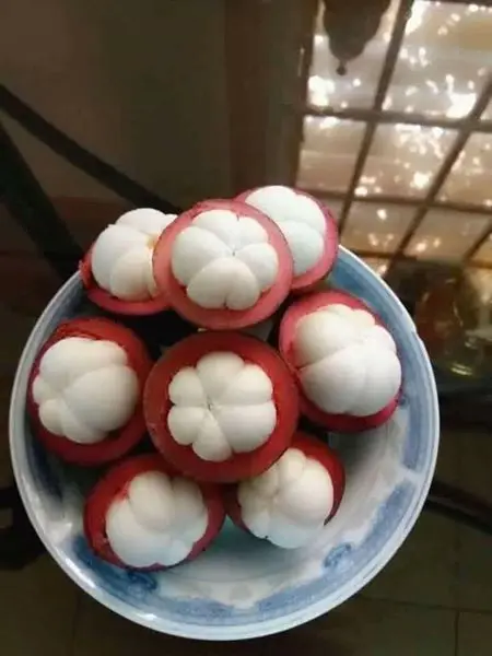 Best Price for Fresh Mangosteen Origin Vietnam// Ms Annie /WHATSAPP +84 396986490