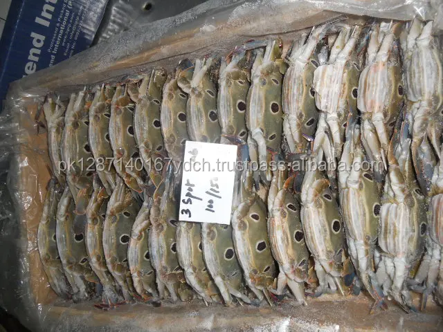 Frozen 3 Spot Crab - Mud Crab - Blue Swimming Crab