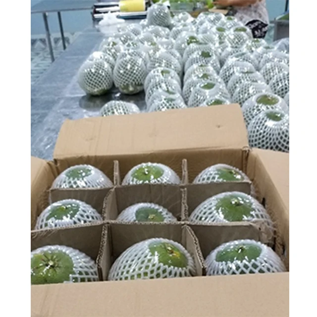 HIGH QUALITY GREEN SKIN POMELO FROM VIET NAM