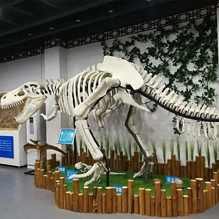 Simulation authentic dinosaur fossils for sale