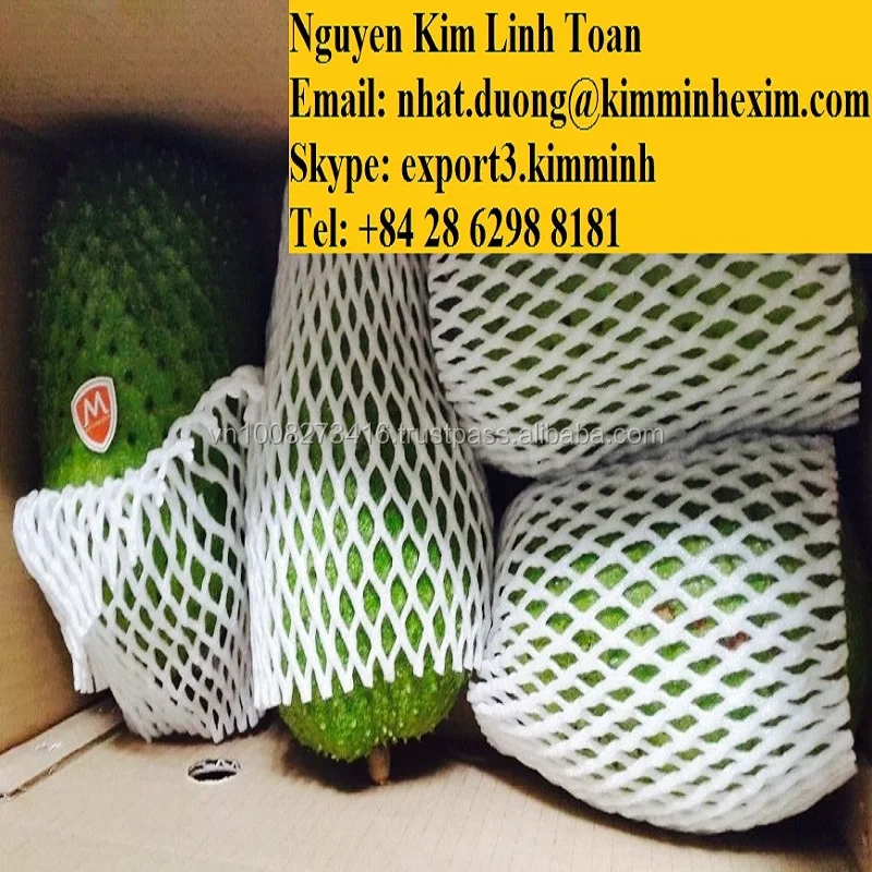 Grade A Fresh Green Graviola Fruit With Cheap Price