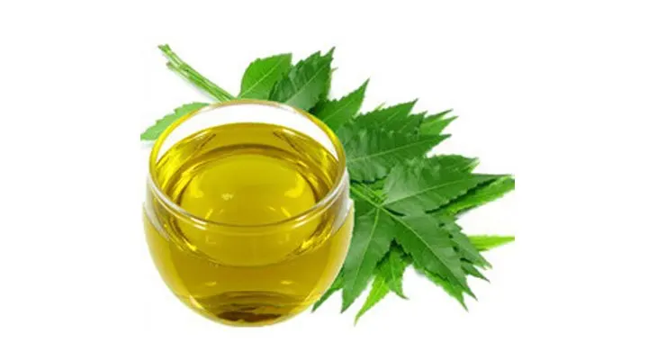 High Quality Natural Pure Neem Carrier oil Available in India for Agriculture and Skin Use