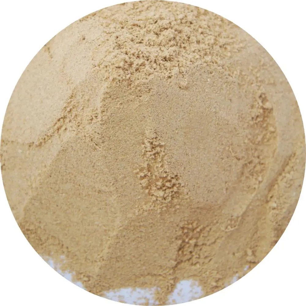 The supplier ginger from Vietnam ginger powder/ dried slices ginger/ fresh ginger