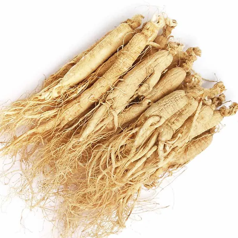 white & Red Ginseng Root for sale
