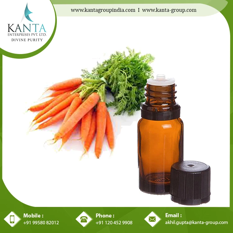 Organic Carrot Seed Oil with Antifungal and Antibacterial properties might help with skin infections from Indian Supplier