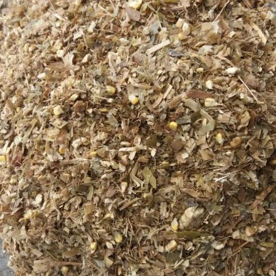 Рубленая кукуруза-силаж кукурузы-зеленый силаж кукурузы WHATSAPP + 0084 845639639