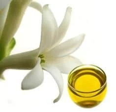 GMP Certified Pure And Natural With High quality Champaca White Essential Absolute Oil