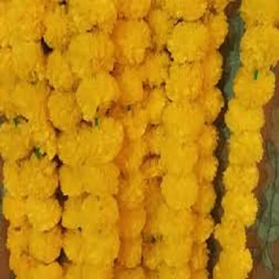 Гирлянды из календул для праздничной вечеринки