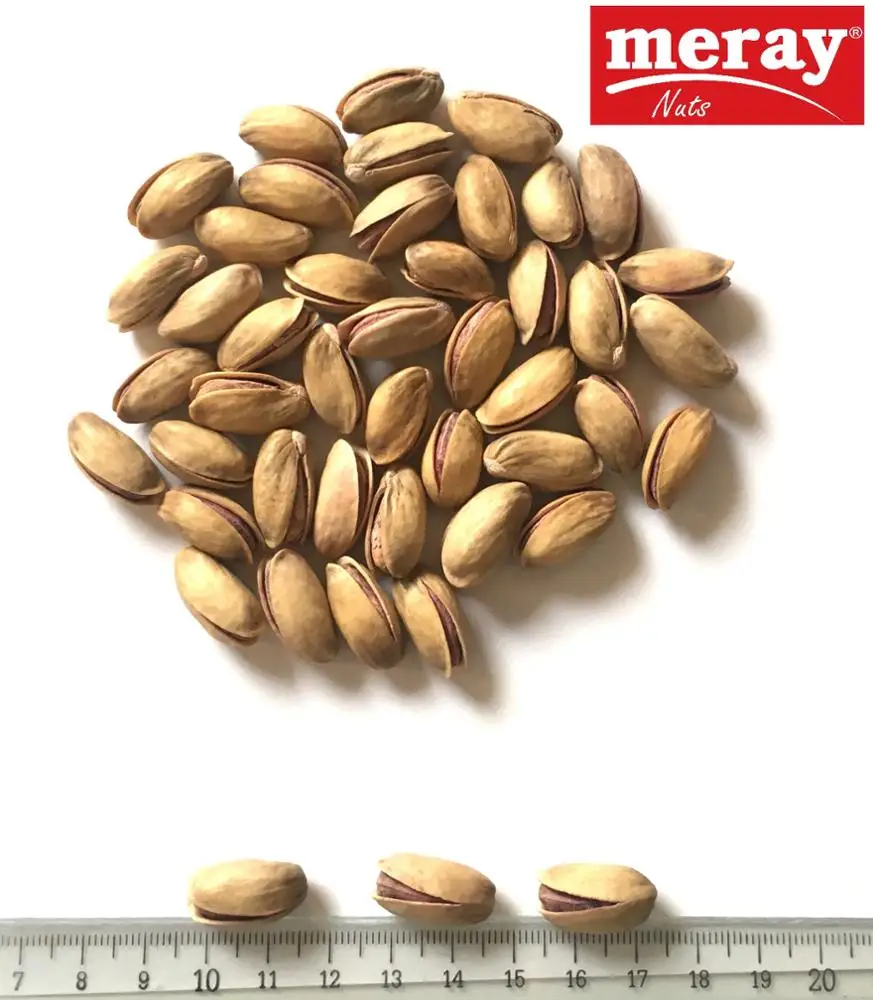 
Turkish Pistachio Inshell 'Antab' 
