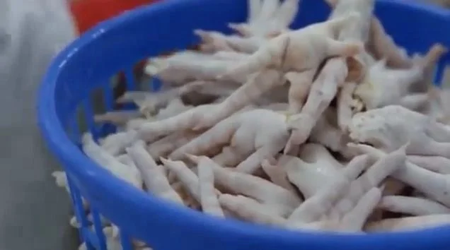 
Top Quality Frozen Chicken feet 