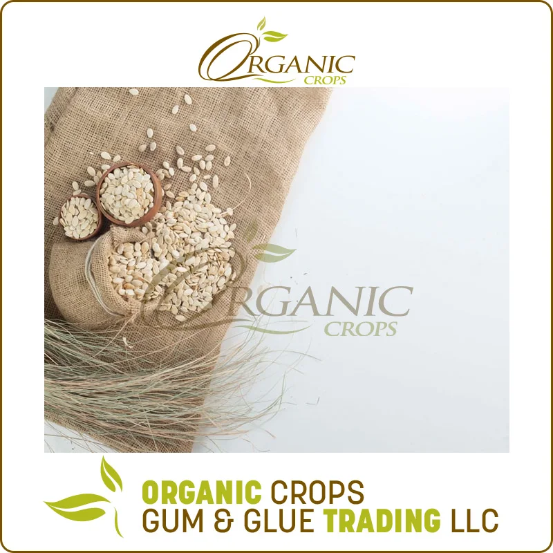 
Best Quality Watermelon Seeds at Least Price 