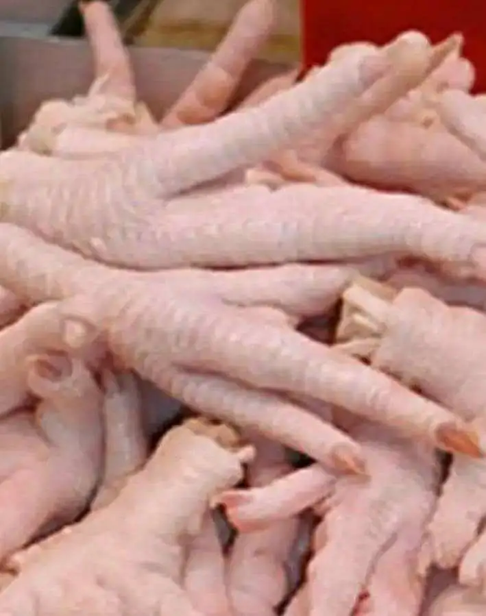 Chicken Breast Brazil Best Halal Whole Frozen Chicken  breast