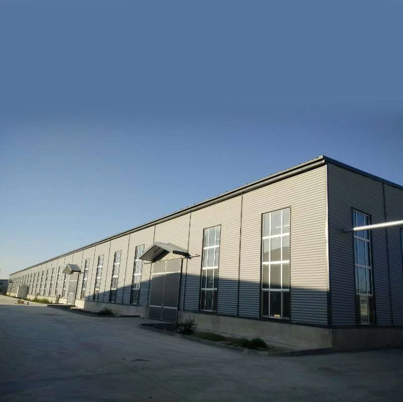 
Dry Green Raisins Organic Sultana Green Raisins Prices With Seed 