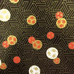 Sushi delivery boxes food container bpa free sushi use container