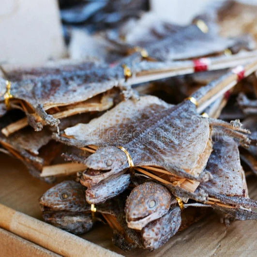 
DEHYDRATED FLYING GECKO - Vietnamese gecko/tokay gecko/ flying dried gecko 
