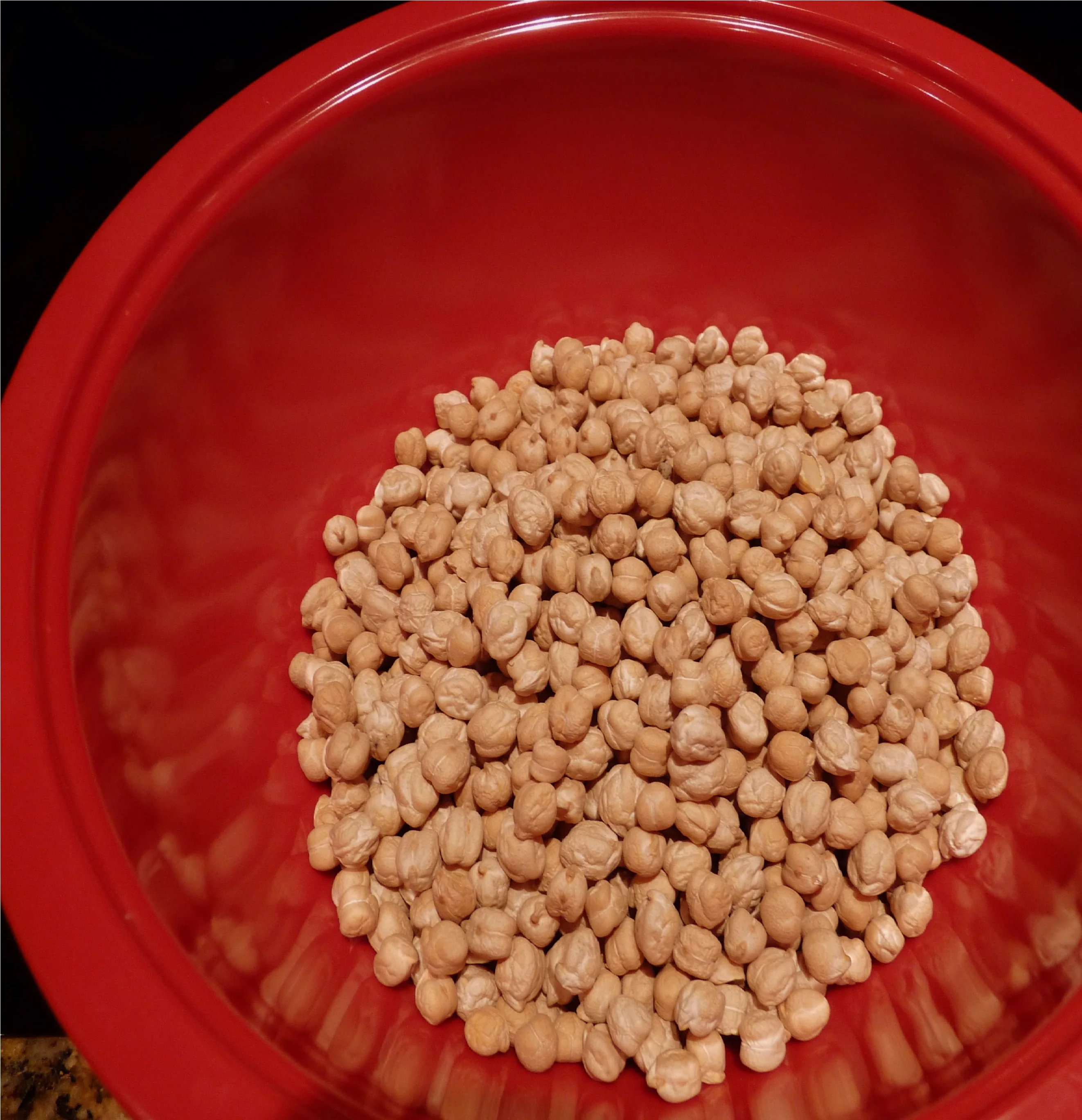 Высококачественный нут/сушеный нут/нут Kabuli и