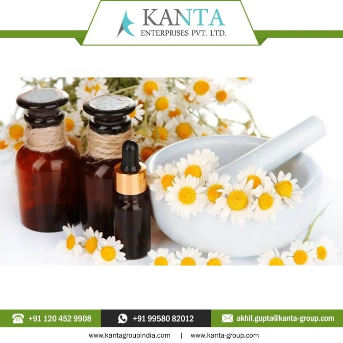 100% Natural Chamomile Essential Blue Oil at Low Price