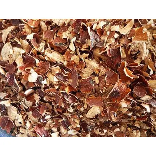 Cashew husk/ cashew in Vietnam