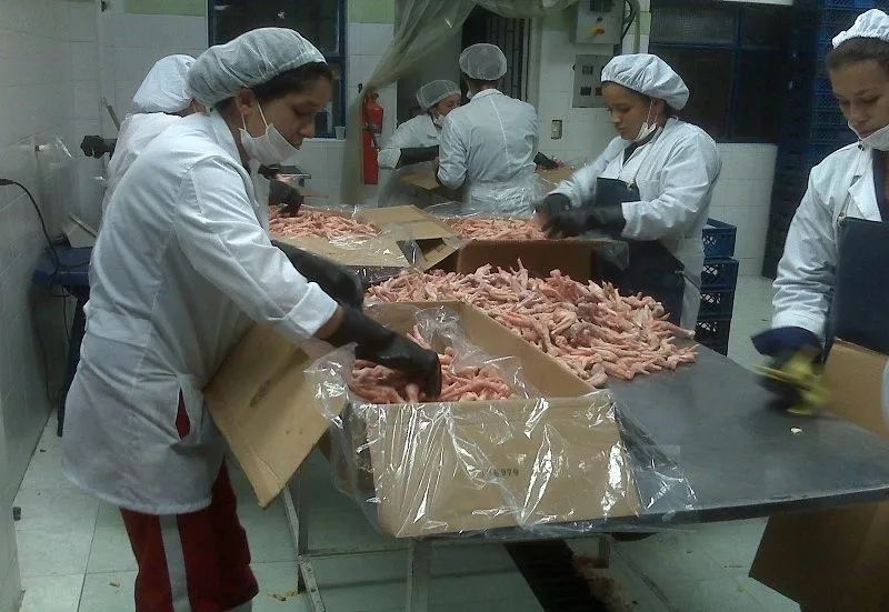 
Whole Chicken, Chicken Wings for sale 