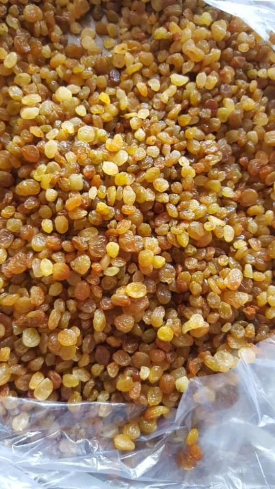 Golden Raisins Indian Raisins Dry Fruits Green Raisins...!