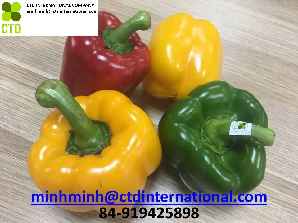 
red bell pepper from vietnam processor 