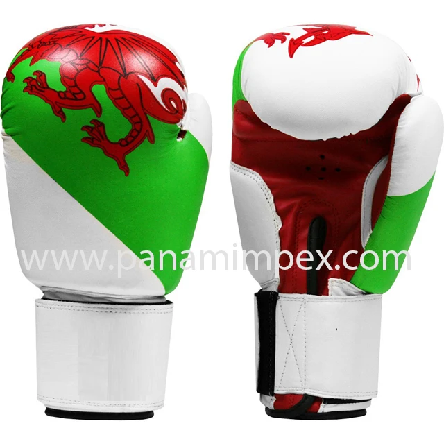 custom made sparing muay thai Wholesale Fighting Winning twins fairtex Leather Boxing Gloves Custom country Flag Boxing Gloves