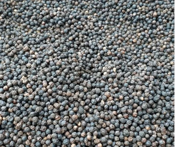 
 Вьетнамский чёрный перец 570 г/л часто задаваемые вопросы (WHATSAPP: 0084 164 9078 009)  