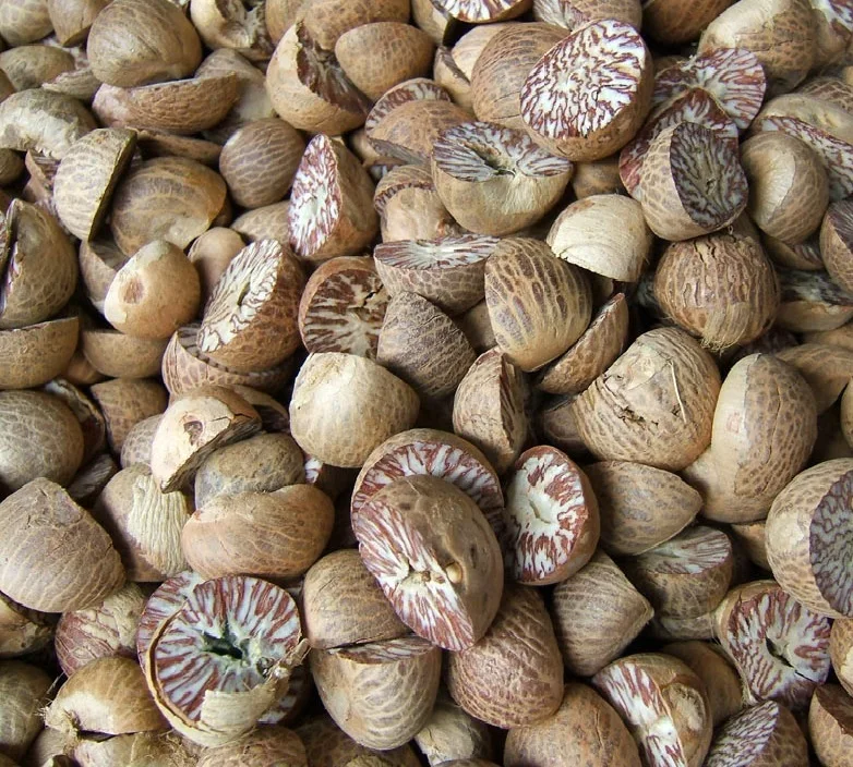 
Betel Nut new crop 