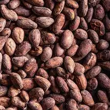 Cocoa floral absolute oil 100% pure and natural with high quality