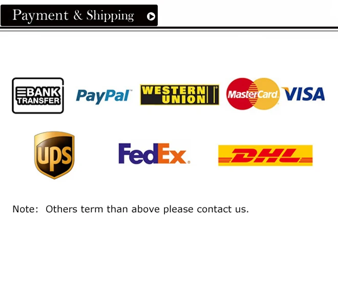 925 Sterling Silver Crystal Blue Zircon Round Halo Slide Short Choker Necklace