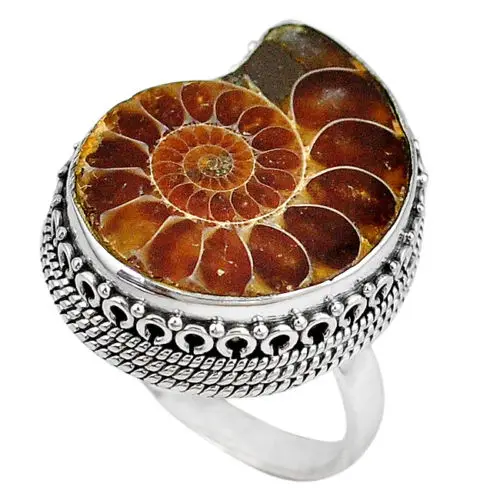 Natural Brown Ammonite Fossil value 925 silver ring Size 8