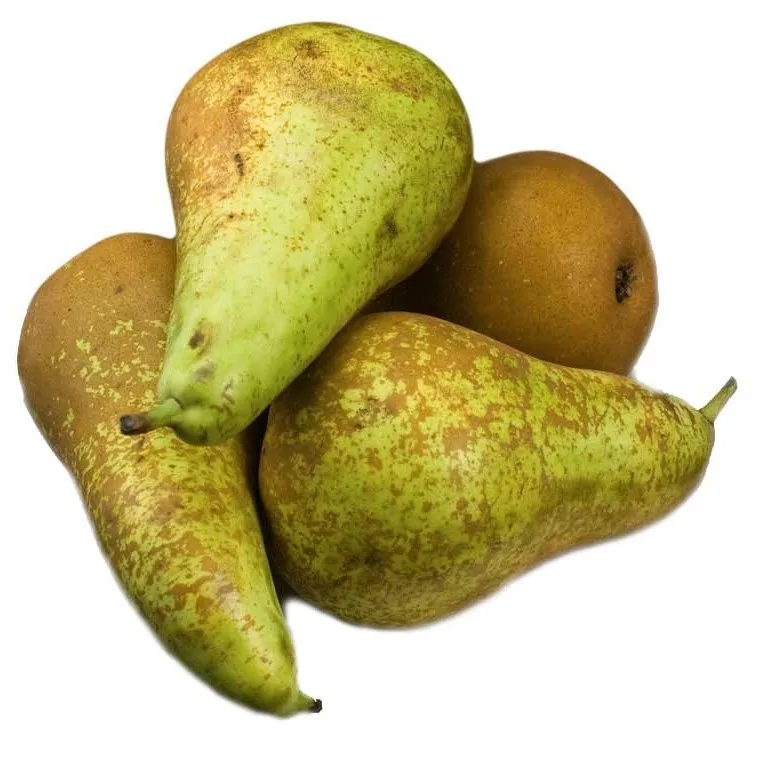 
Fresh Spain Conferencia Pear 