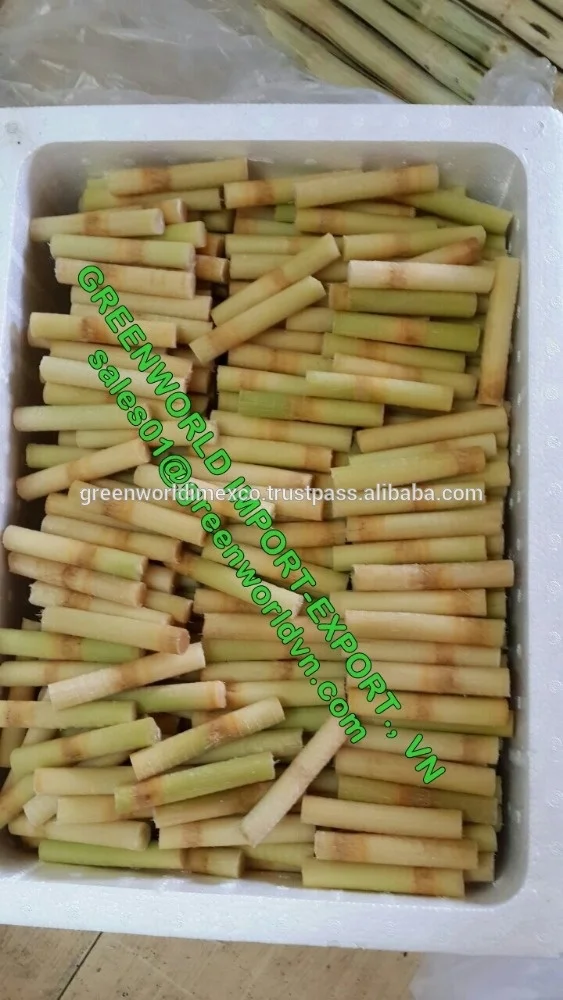 Frozen sugarcane with amazing taste from Vietnam with competitive price