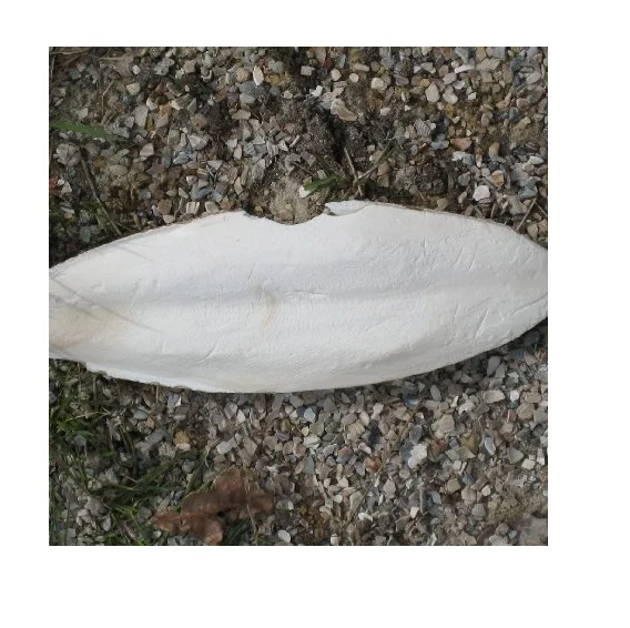 CUTTLE BONE/ CUTTLEBONE 2021 // Mr. ShinCA (+84) 378398089