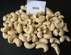 Cashew Nuts W320 W240  Dried Raw /Cashew Nuts W320 W240 Raw OEM Dry Nuts Daily  And Seeds Dried Fruits