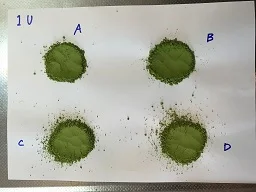 Japanese Green Tea powder TOP Grade of Matcha from Kyoto for wholesale