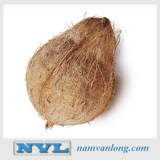 Порошок кокосового молока 2022