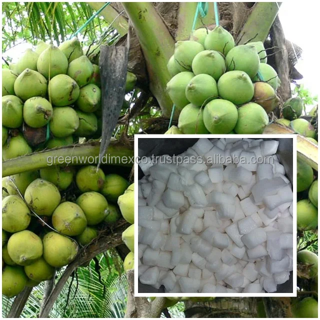 Nata De Coco in Syrup/ Coconut Jelly / raw nata de coco for food, for face mask