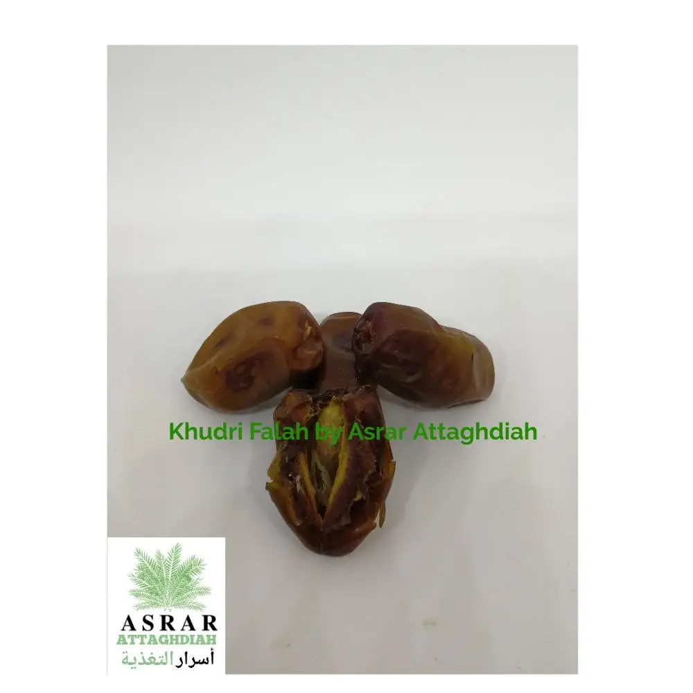 
Khudri Dates | 100% Premium Natural Saudi Dates 