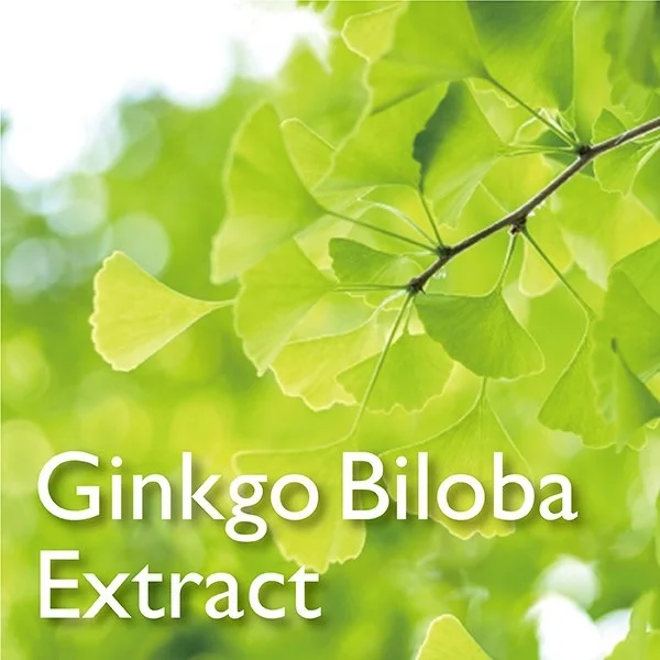 Herbal detox drink gaba & ginko biloba leaf food health supplement for stress free made in japan GMP