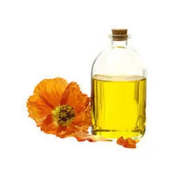Camellia oil