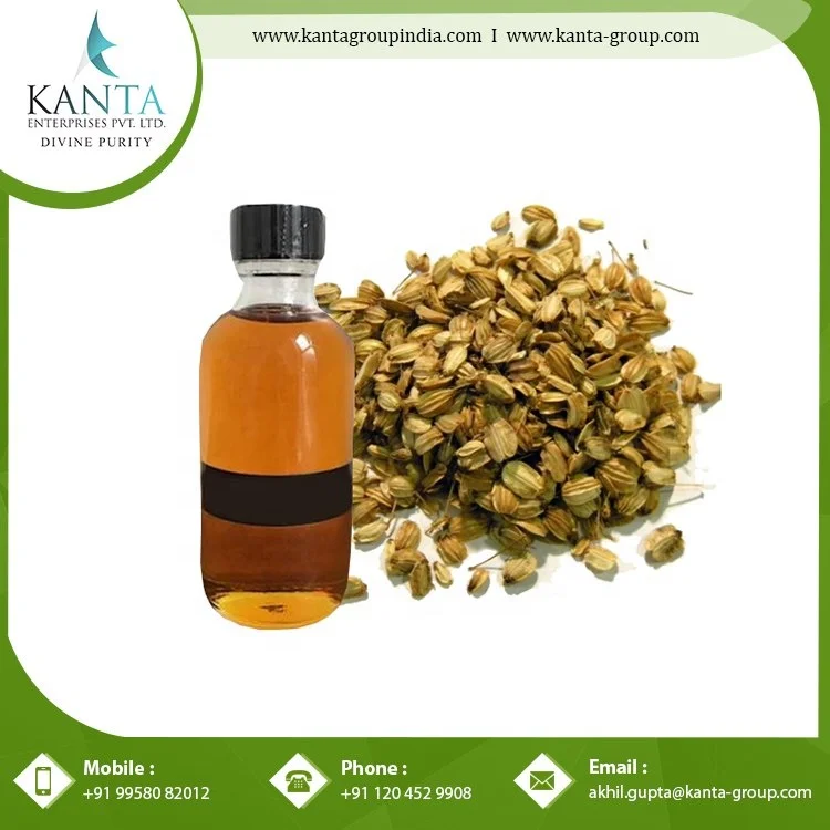 Pure Organic Angelica Essential Oil  helps in Protecting the Liver Available at Best Price in India
