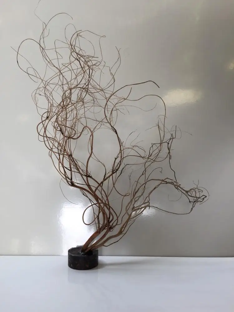 Nano aquarium driftwood