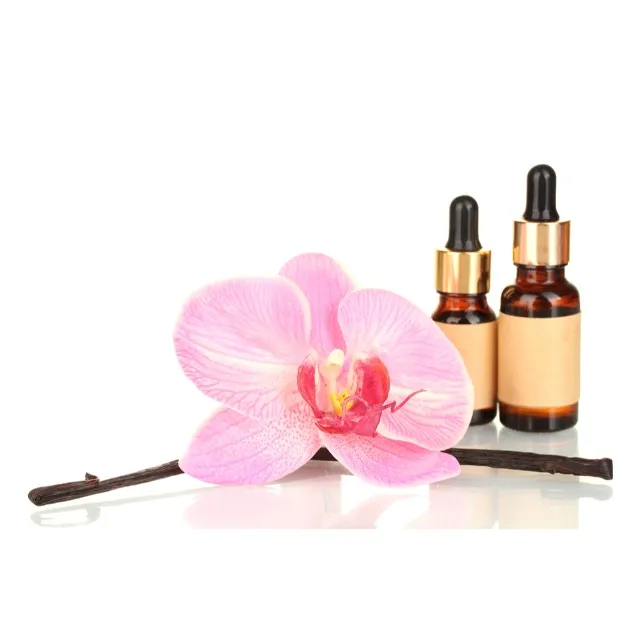 Factory Price High Quality Vanilla Beans Essential Oil at Best Price from India