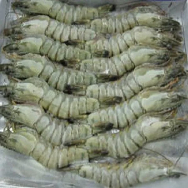 Salted Baby Shrimp With Cheap Price Good Quality