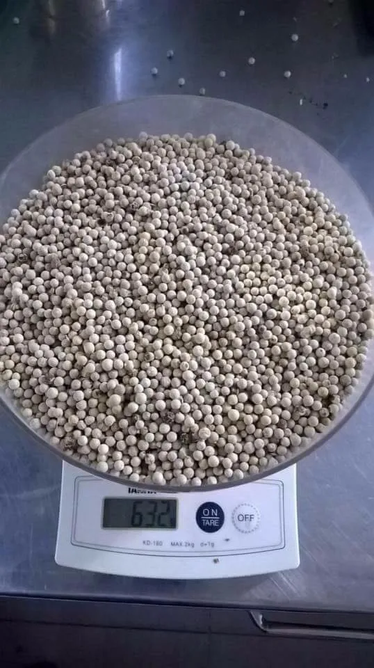 Горячий черный перец 500 г/л для экспорта высокое качество хорошие цены всех стран мира