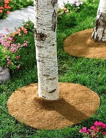 Coir Disc Mulch Mat - Double Latex-ed Export Quality