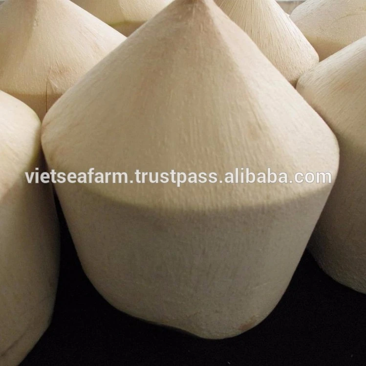 
Fresh coconut price from Vietnam 