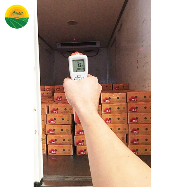 LOW PRICE LOGAN RAMBUTAN FROM VIET NAM